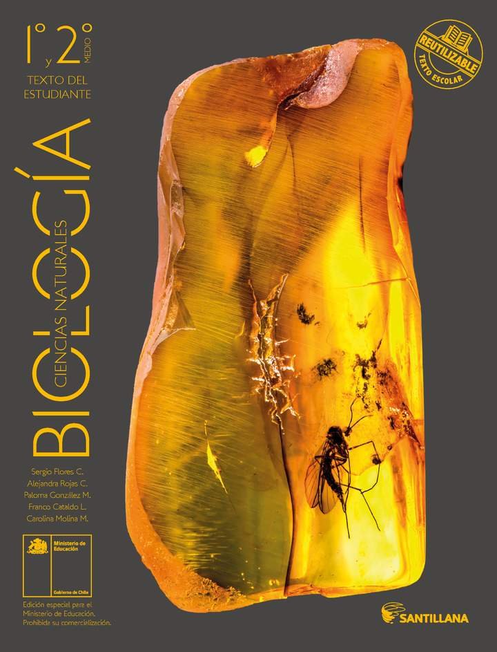 Biología 1° y 2° Medio, Santillana, Texto del estudiante