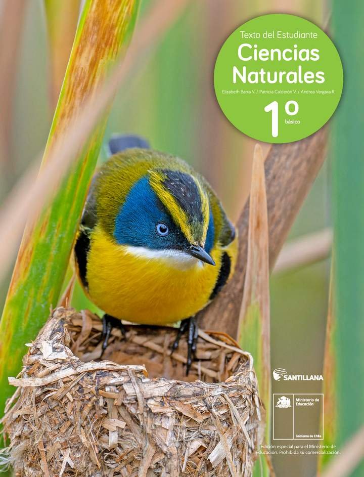 Ciencias Naturales 1º Básico, Santillana, Texto del estudiante