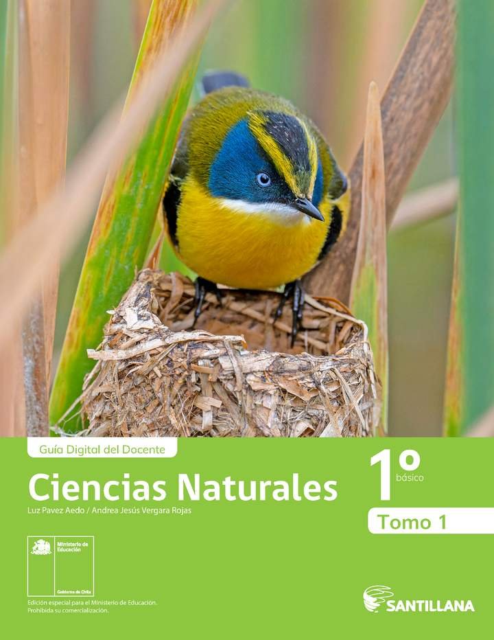 Ciencias Naturales 1° Básico, Santillana, Guía didáctica del docente Tomo 1