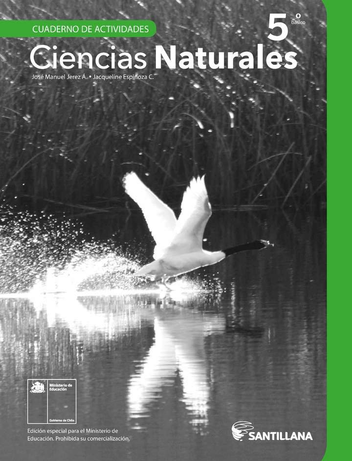 Ciencias Naturales 5° Básico, Santillana, Cuaderno de actividades