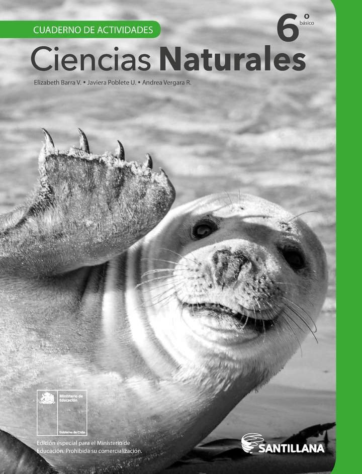 Ciencias Naturales 6° Básico, Santillana, Cuaderno de actividades