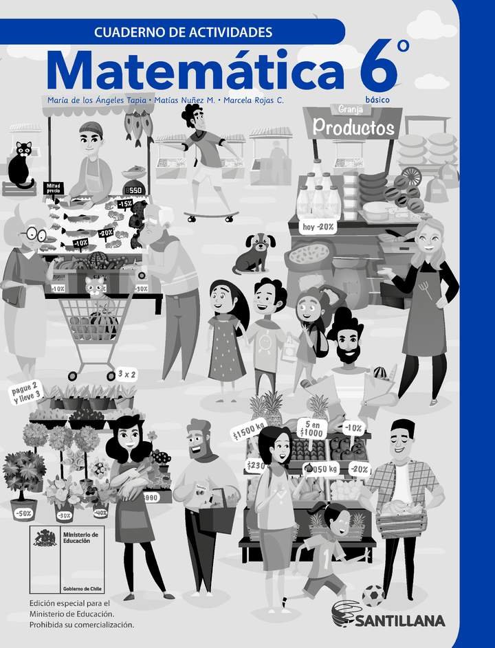 Matemática 6° Básico, Santillana, Cuaderno de actividades