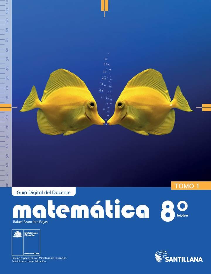 Matemática 8° básico, Santillana, Guía didáctica del docente Tomo 1